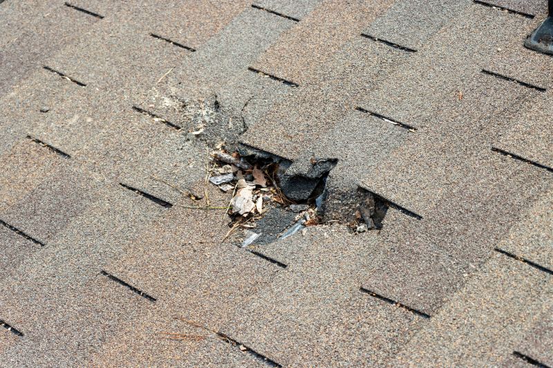 Asphalt Roof Replacement in Smithville, TN